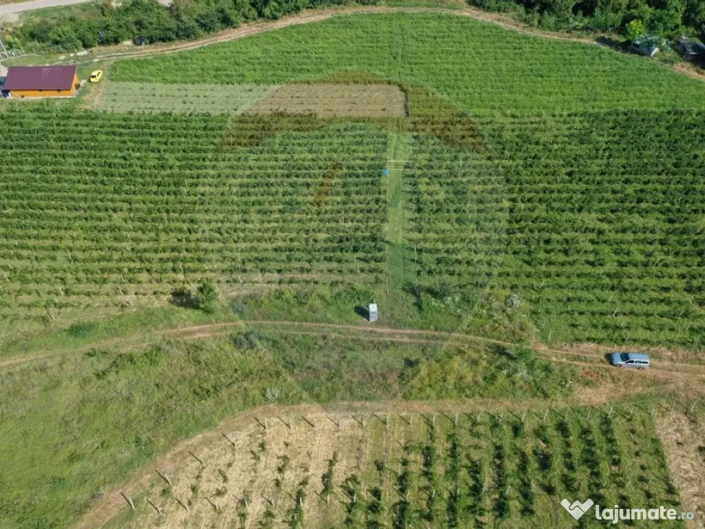 Oportunitate de investitie - Teren de vanzare I 4 ha I ce...