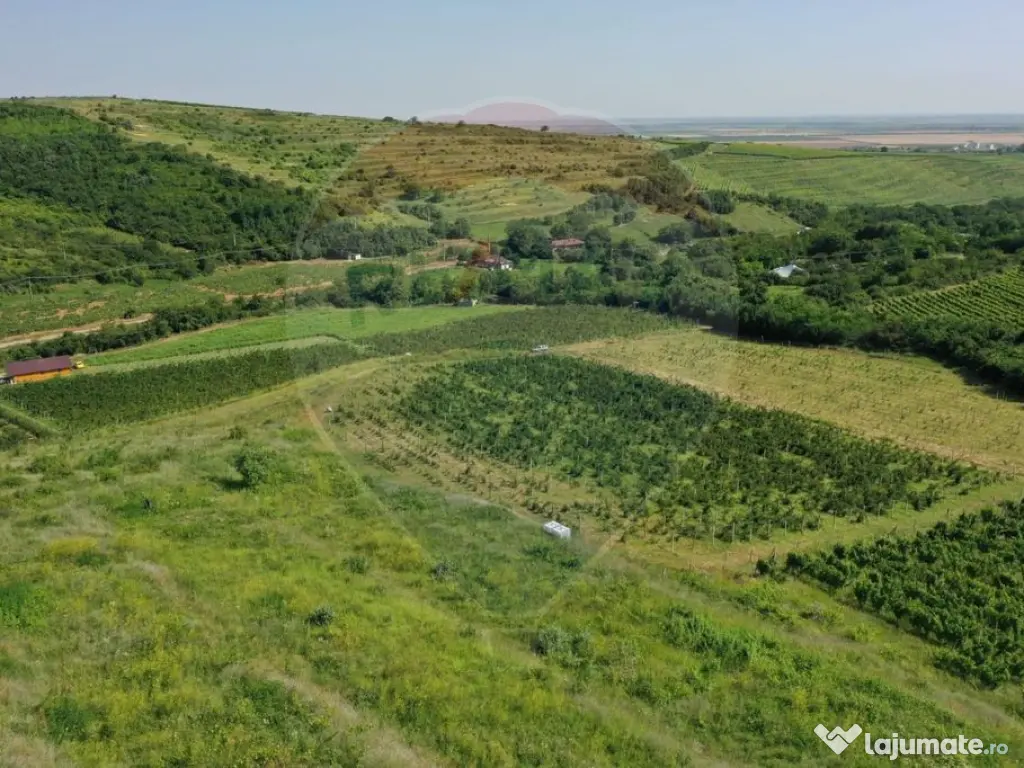 Oportunitate de investitie - Teren de vanzare I 4 ha I ce...