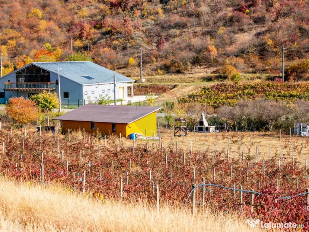 Oportunitate de investitie - Teren de vanzare I 4 ha I ce...