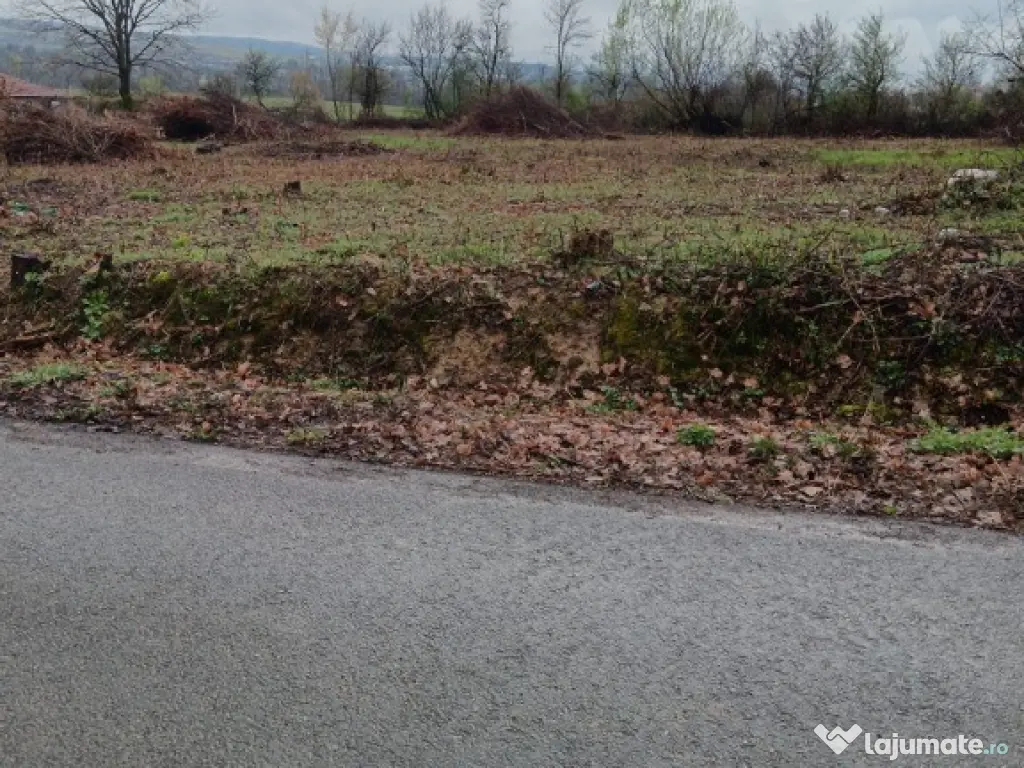 Unguras, 20 ari teren