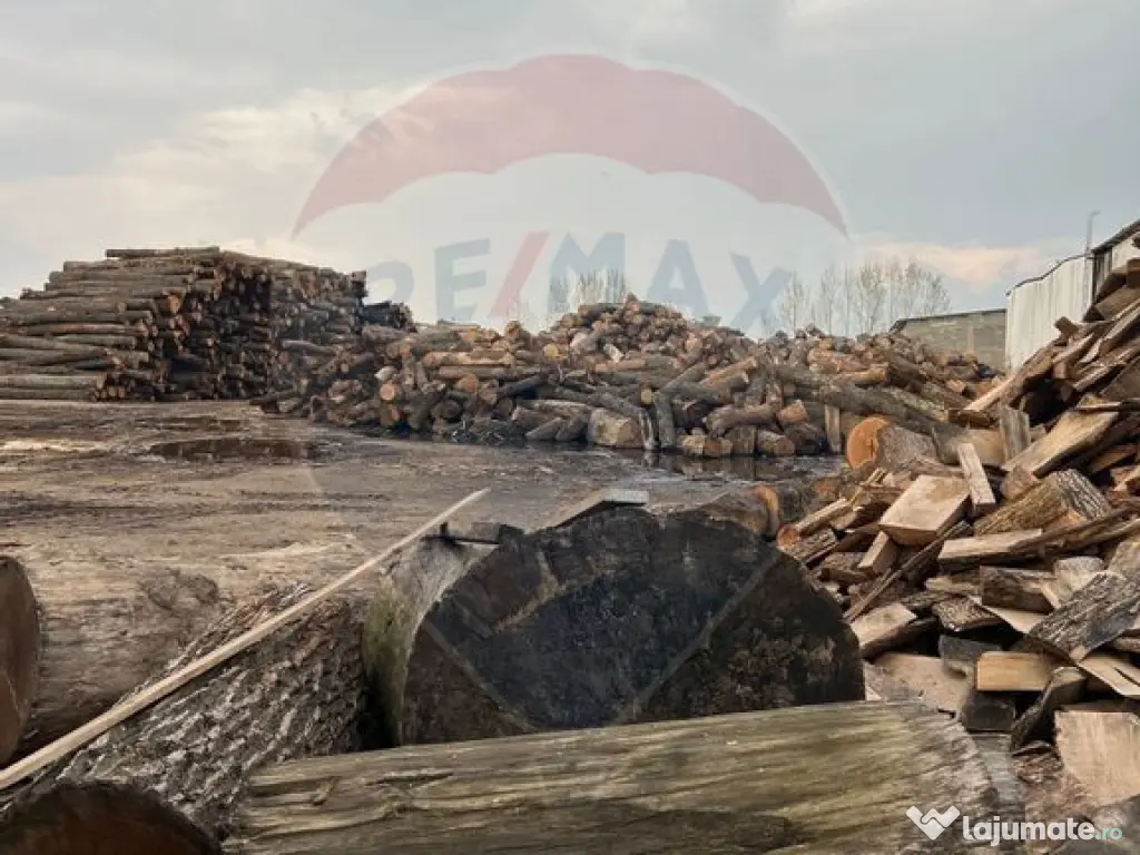 Spațiu industrial de 7,756mp de vânzare 