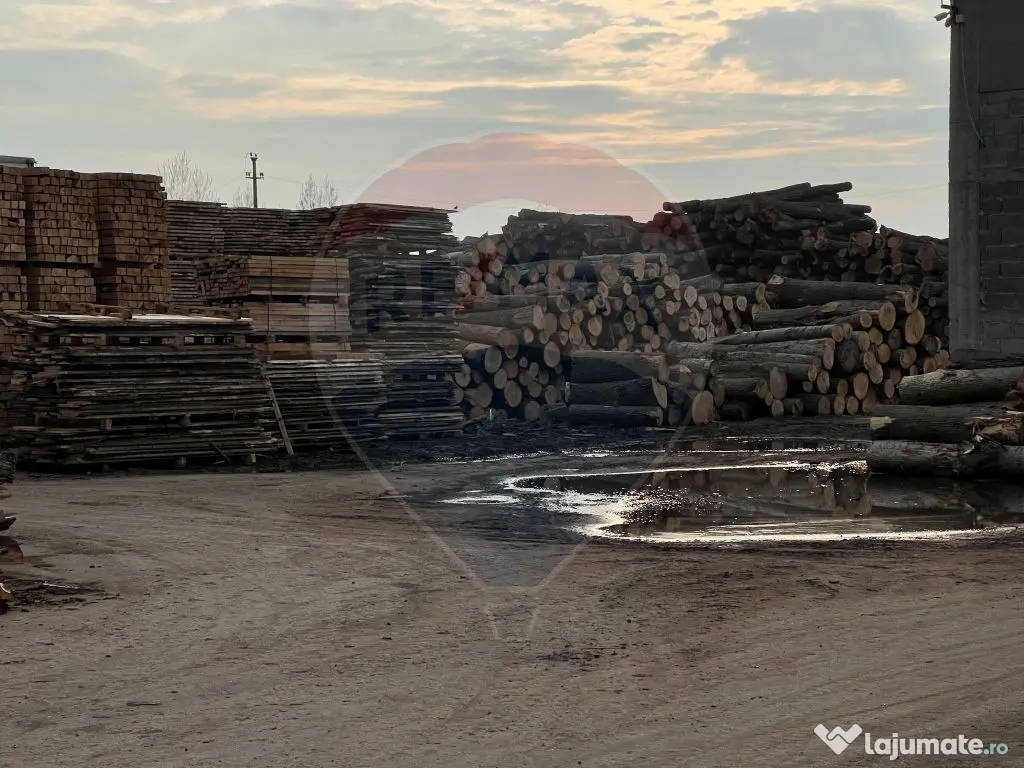 Spațiu industrial de 7,756mp de vânzare 