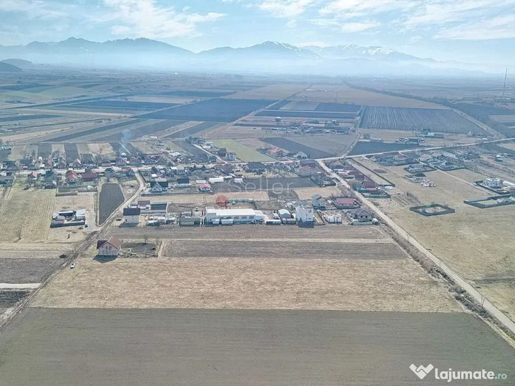 Teren Extravilan, P.U.Z. inceput 