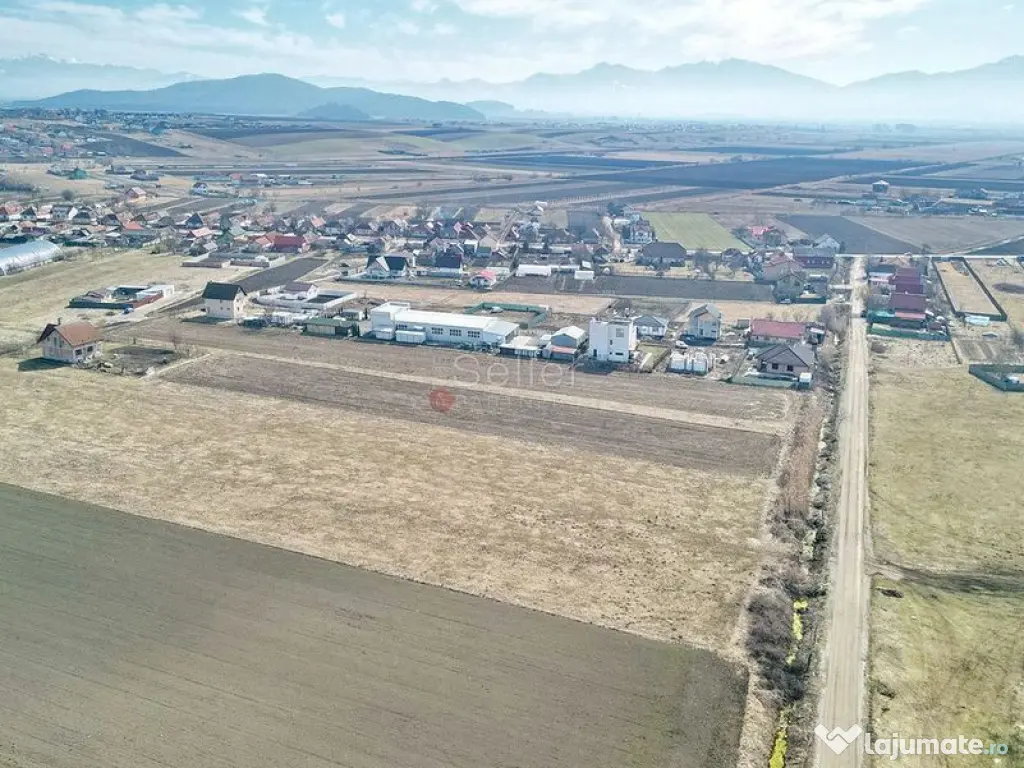 Teren Extravilan, P.U.Z. inceput 