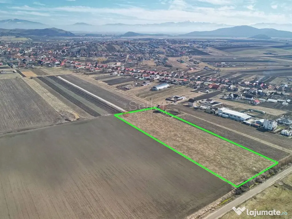 Teren Extravilan, P.U.Z. inceput 