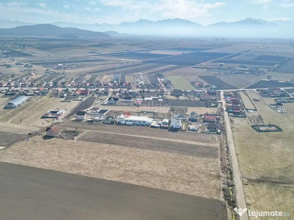 Teren Extravilan, P.U.Z. inceput 