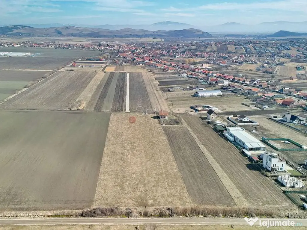 Teren Extravilan, P.U.Z. inceput 