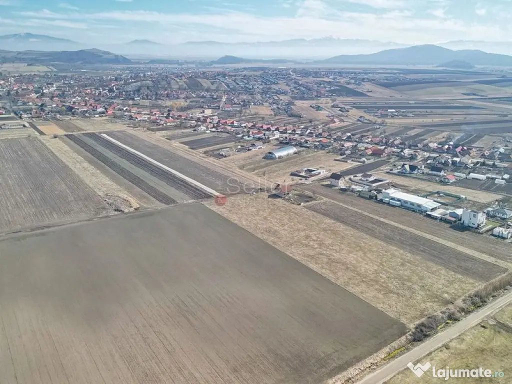 Teren Extravilan, P.U.Z. inceput 