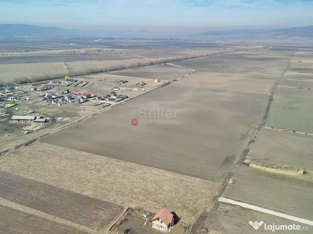 Teren Extravilan, P.U.Z. inceput 