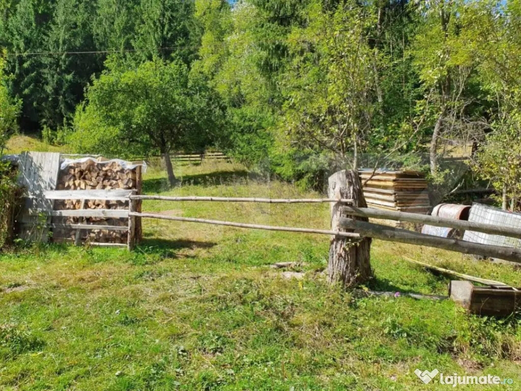 Teren intravilan 3015 mp, Garda de Sus, Ghetarul Scarisoara