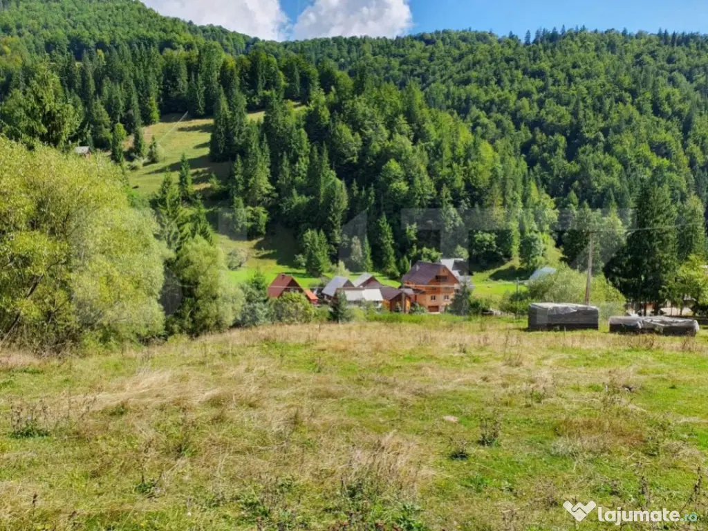 Teren intravilan 3015 mp, Garda de Sus, Ghetarul Scarisoara