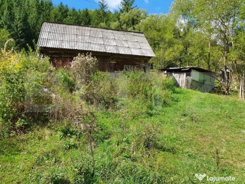 Teren intravilan 3015 mp, Garda de Sus, Ghetarul Scarisoara