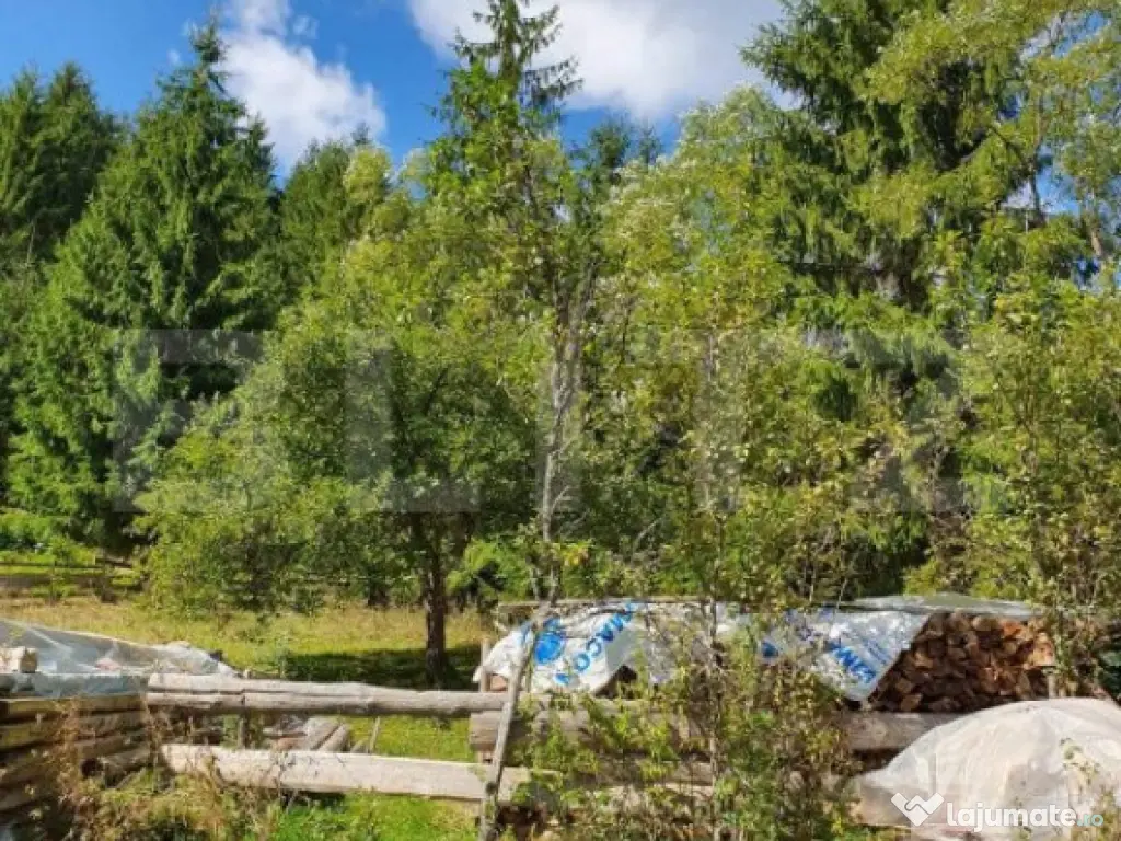 Teren intravilan 3015 mp, Garda de Sus, Ghetarul Scarisoara