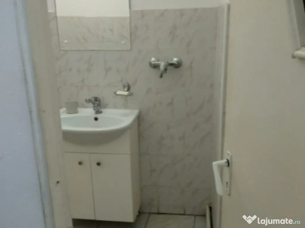 Spatiu Comercial 100 mp Triaj