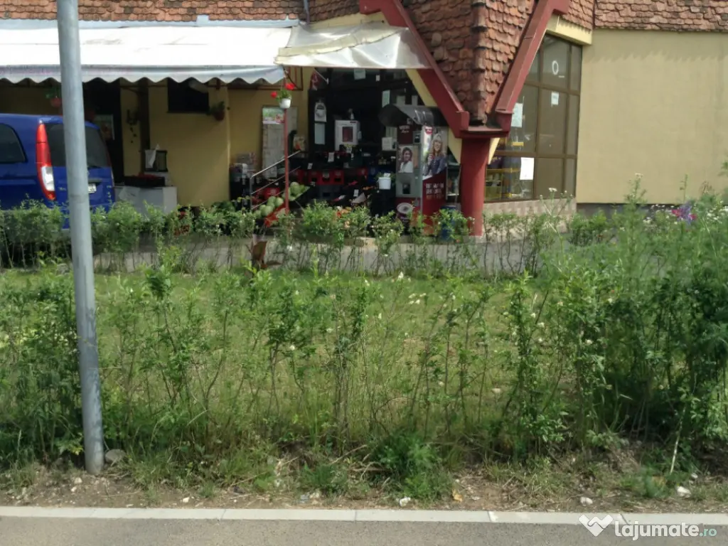 Spatiu Comercial 100 mp Triaj