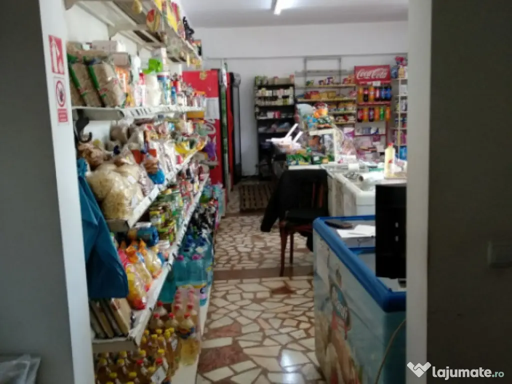 Spatiu Comercial 100 mp Triaj