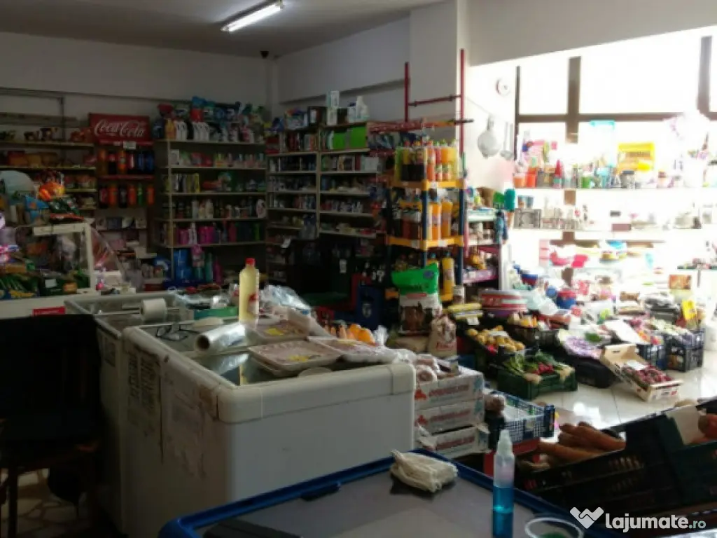 Spatiu Comercial 100 mp Triaj