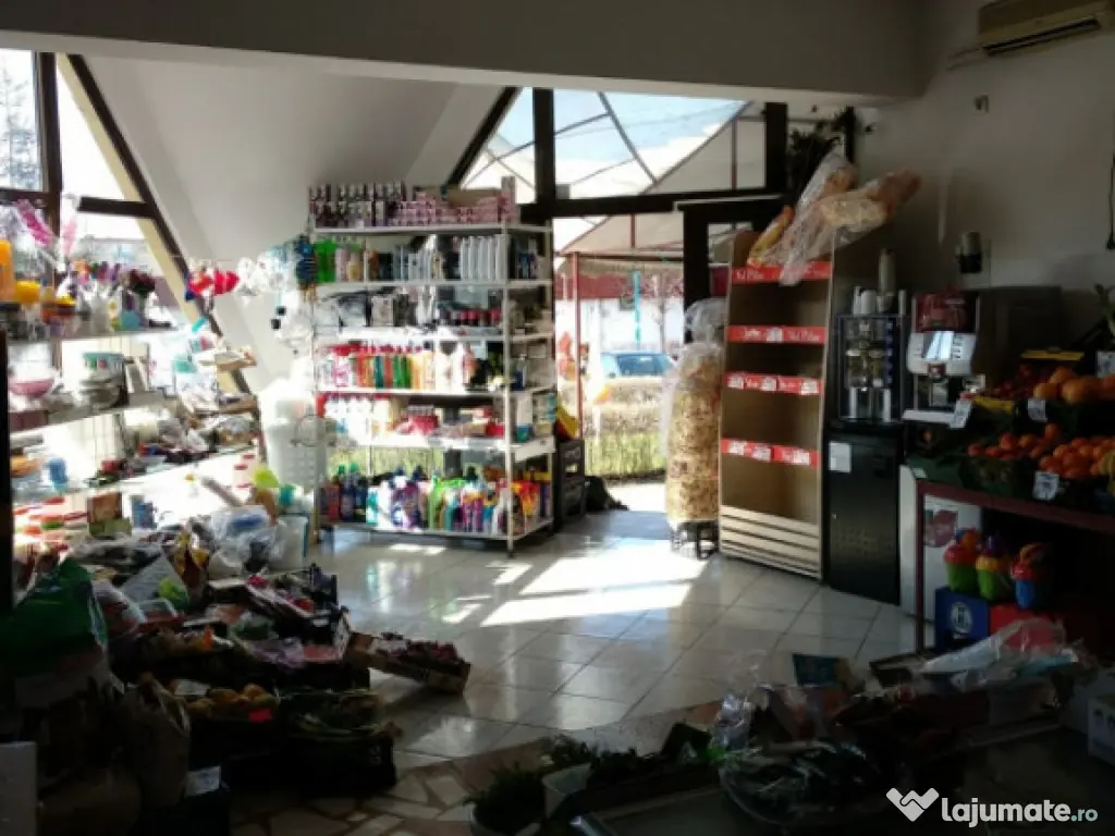 Spatiu Comercial 100 mp Triaj