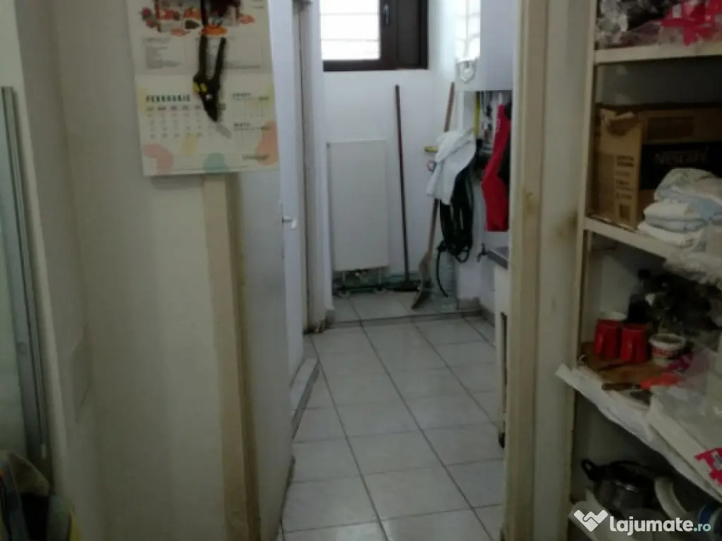 Spatiu Comercial 100 mp Triaj