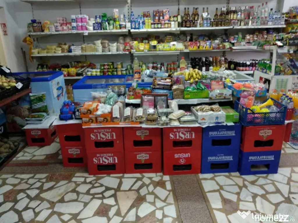 Spatiu Comercial 100 mp Triaj