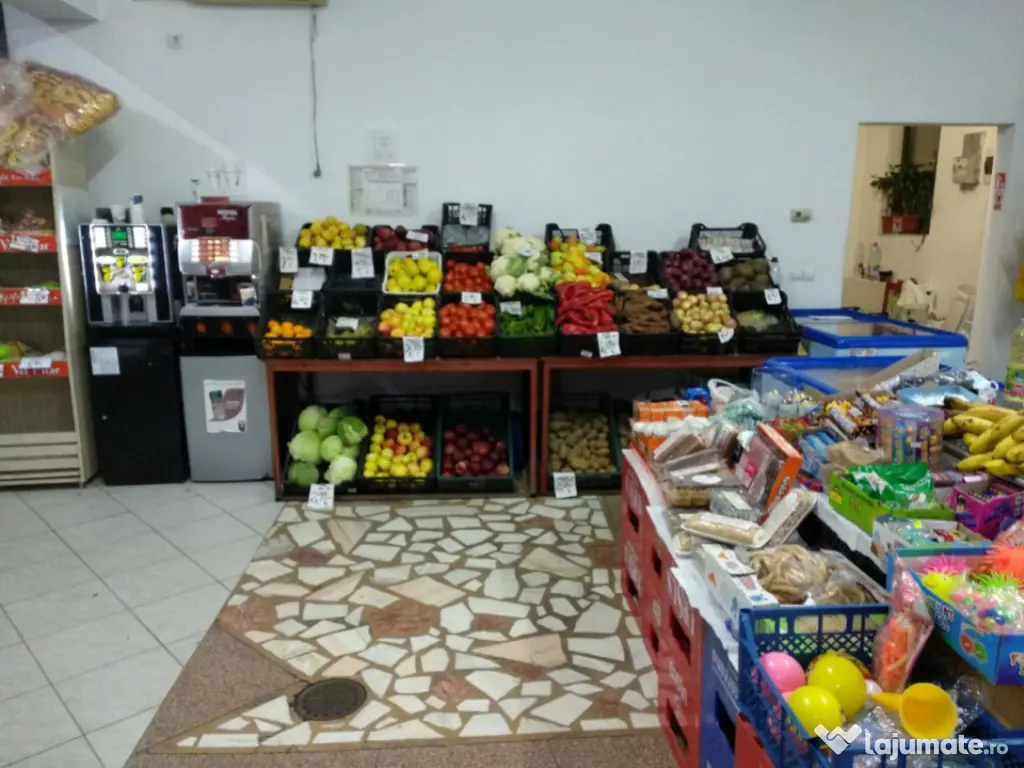 Spatiu Comercial 100 mp Triaj