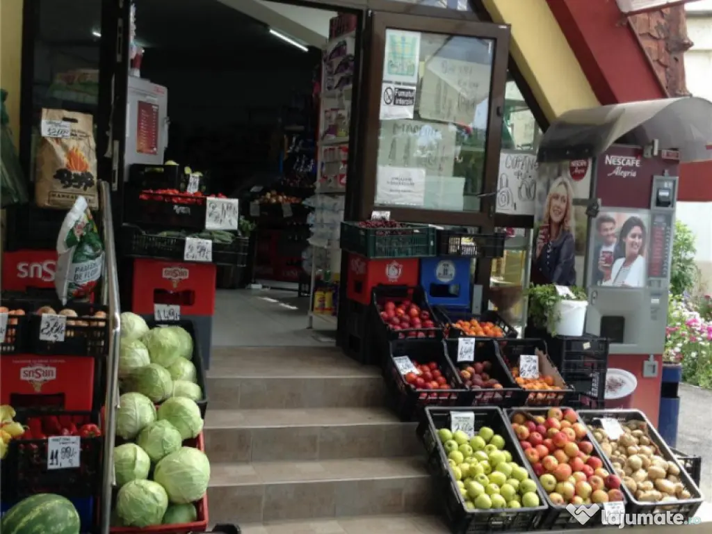 Spatiu Comercial 100 mp Triaj