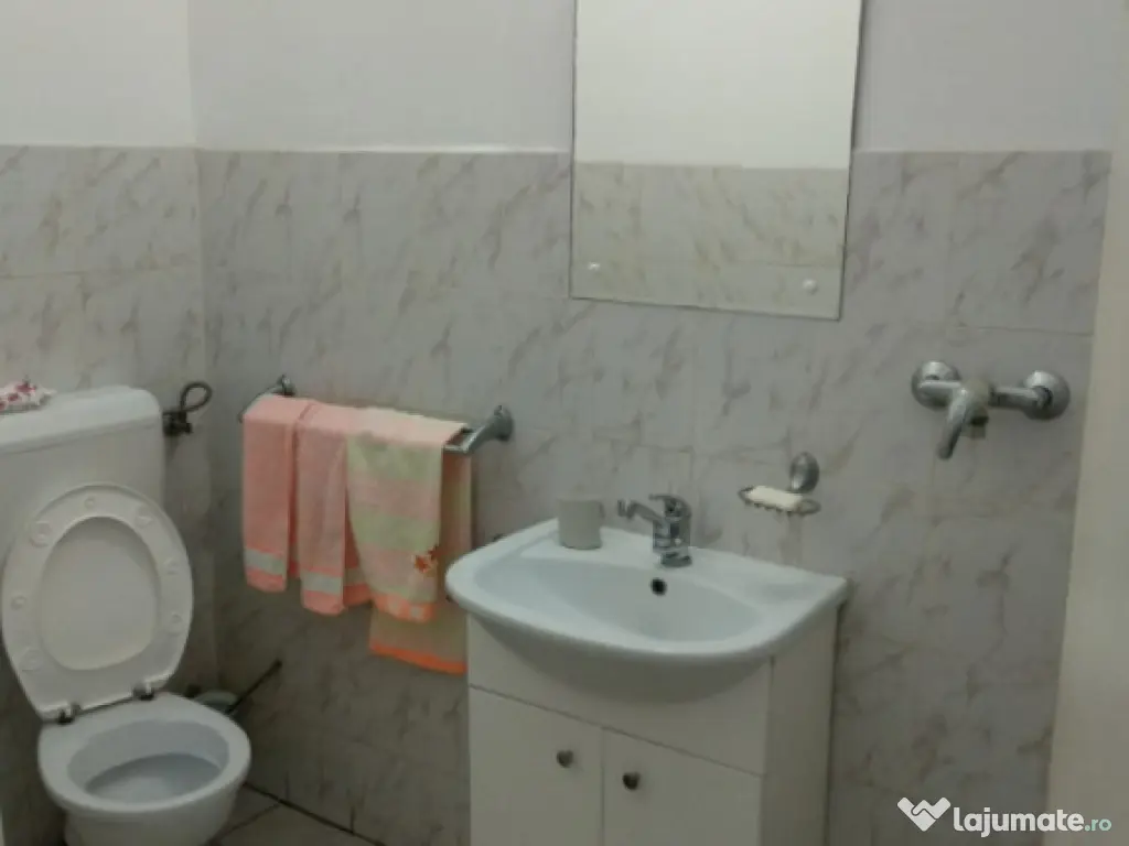 Spatiu Comercial 100 mp Triaj