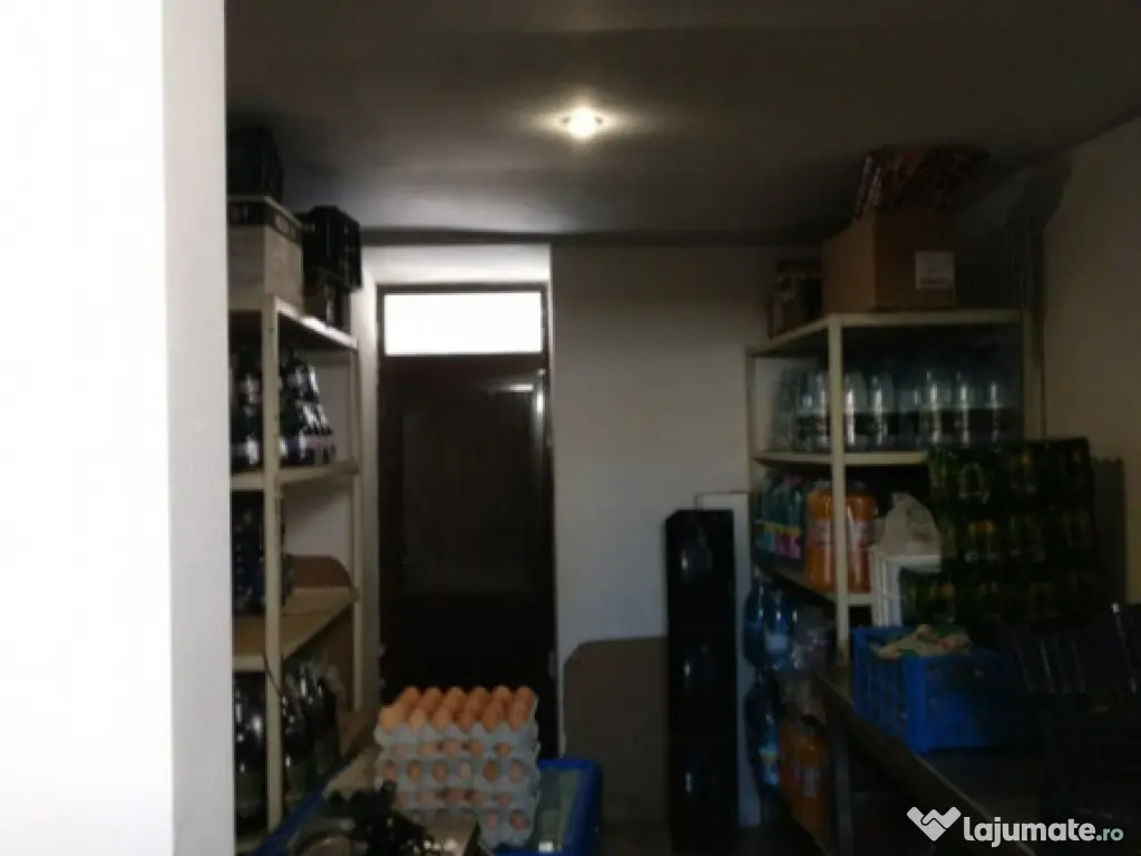 Spatiu Comercial 100 mp Triaj