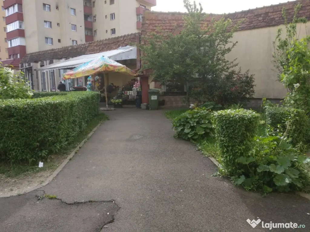 Spatiu Comercial 100 mp Triaj