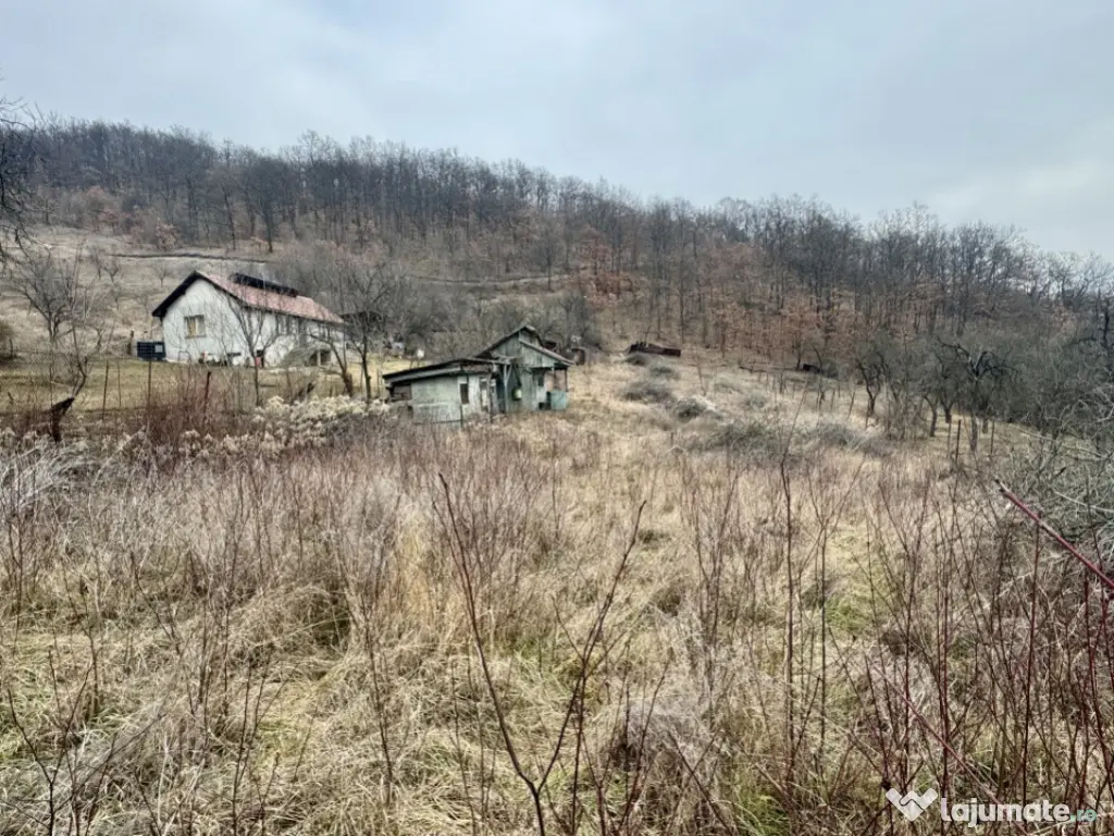 Teren intravilan, loc de casa, panorama