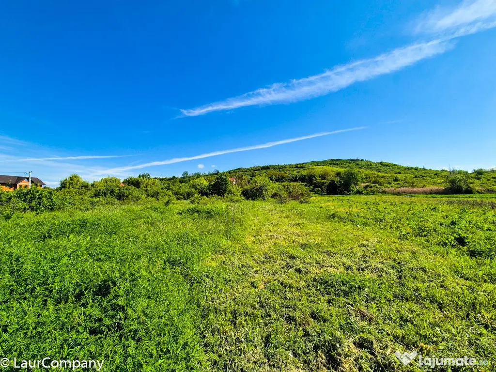 Teren intravilan Vranesti , Calinesti Arges