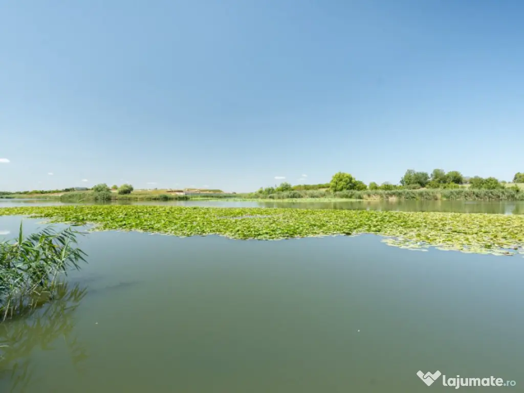 Vila cu piscina pe malul lacului-Snagov -Ciofliceni 