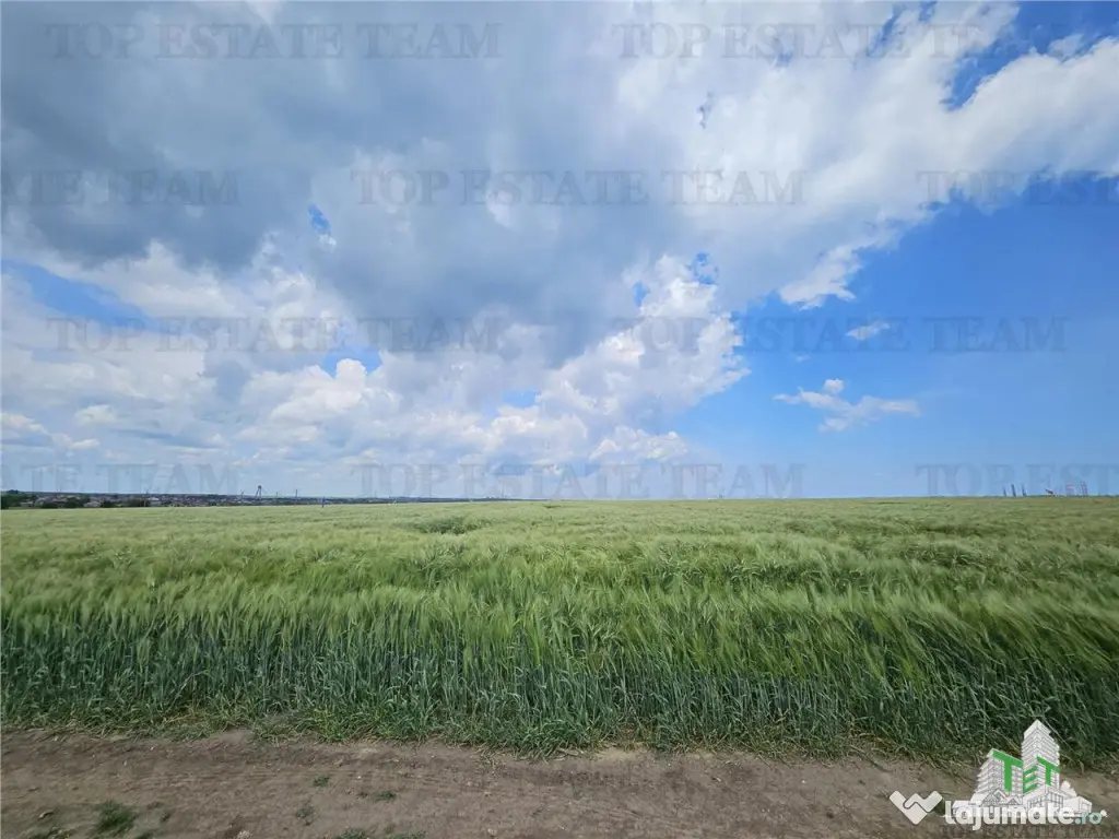 TEREN INTRAVILAN 50000 MP AGIGEA ZONA RO RO 