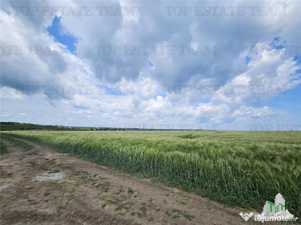 TEREN INTRAVILAN 50000 MP AGIGEA ZONA RO RO 