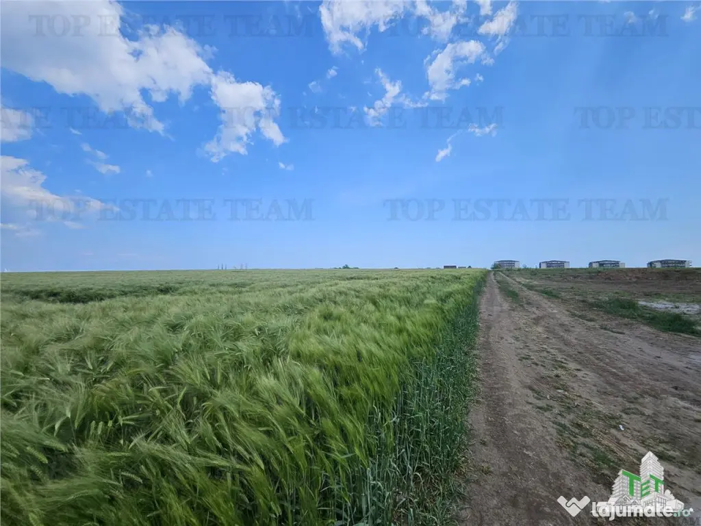 TEREN INTRAVILAN 50000 MP AGIGEA ZONA RO RO 