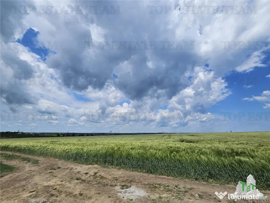 TEREN INTRAVILAN 50000 MP AGIGEA ZONA RO RO 