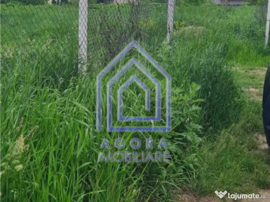 Teren , Sf Ilie Nou, zona Profi 