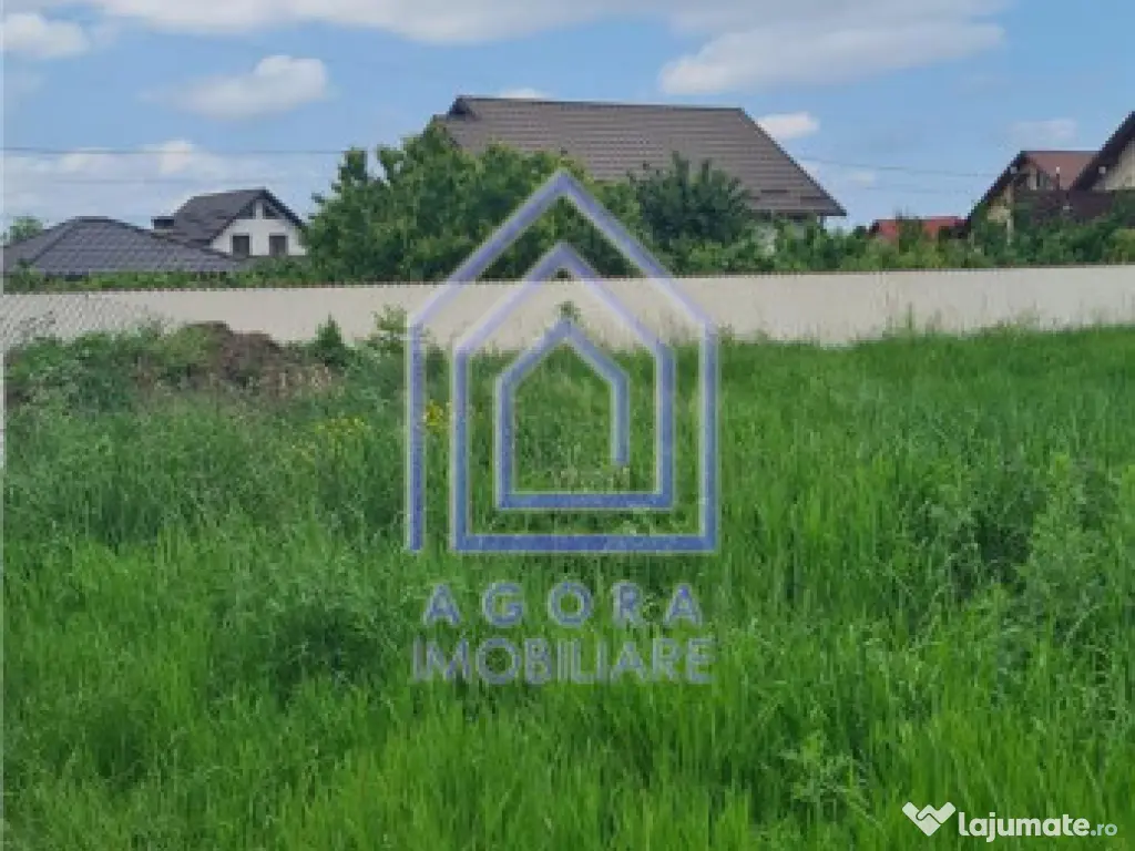 Teren , Sf Ilie Nou, zona Profi 