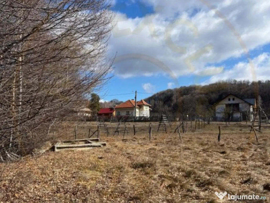 Teren Cicanesti Arges, la 10 KM de Transfagarasan - Comision