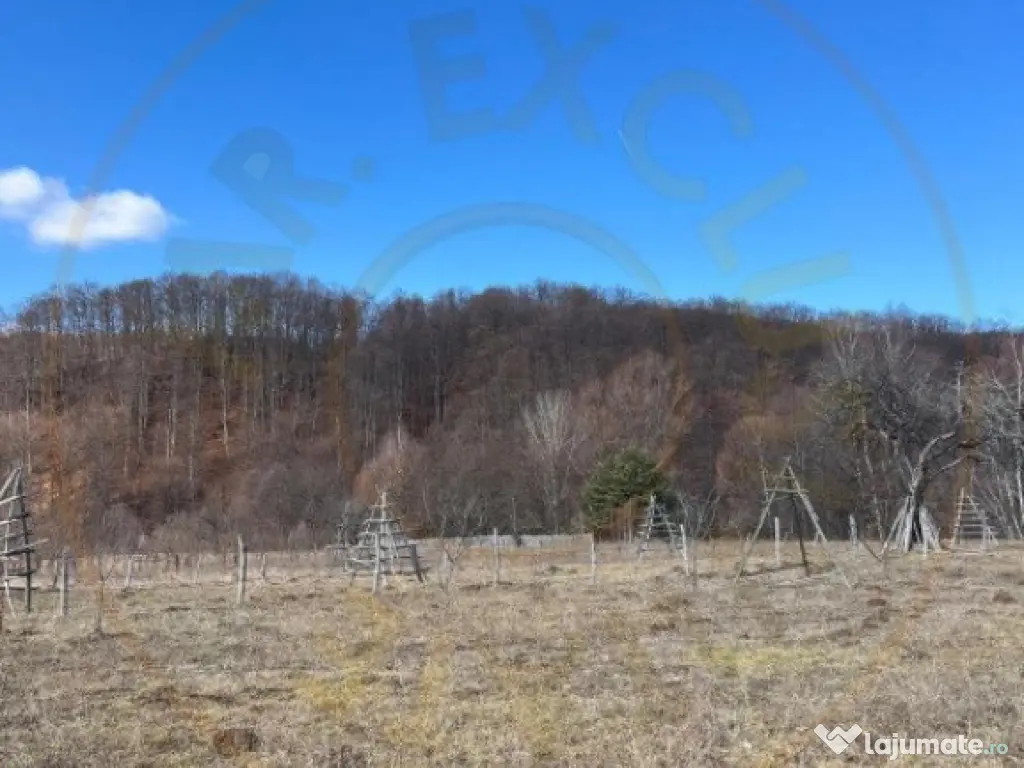 Teren Cicanesti Arges, la 10 KM de Transfagarasan - Comision