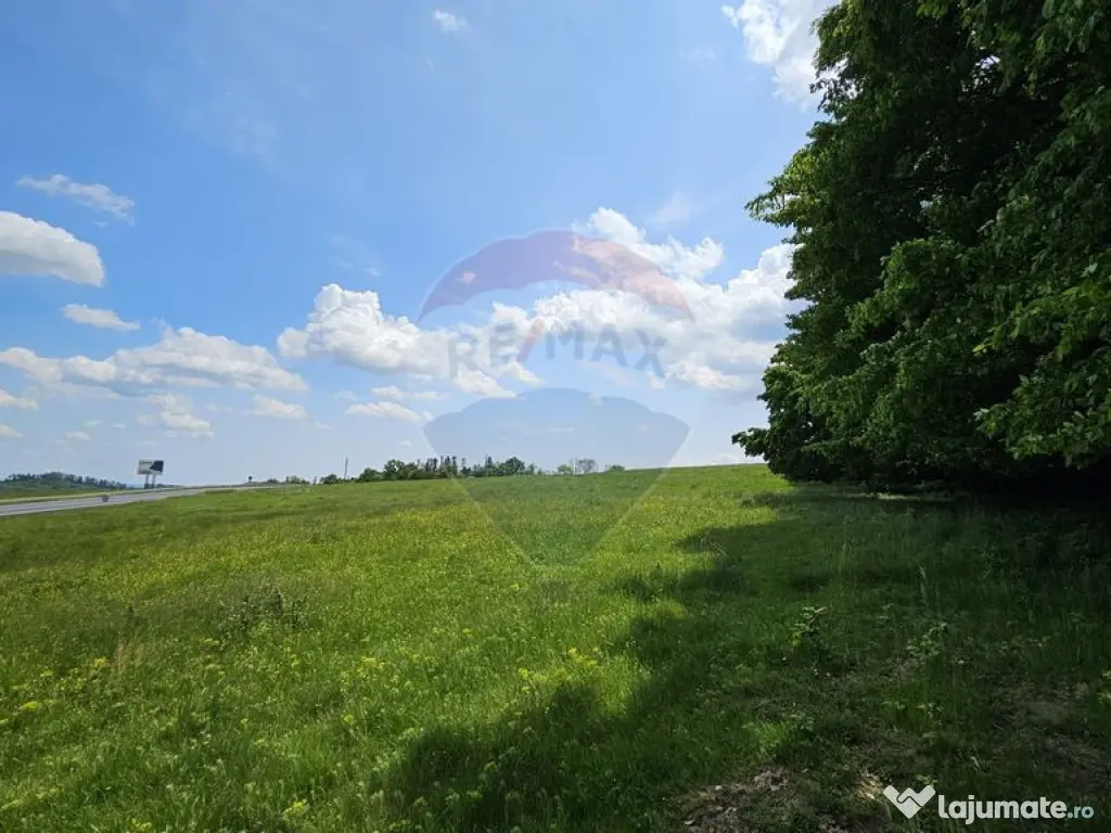 Teren Ilisesti 7000mp extravilan/ DN 17, Suceava 