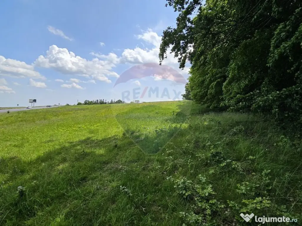 Teren Ilisesti 7000mp extravilan/ DN 17, Suceava 