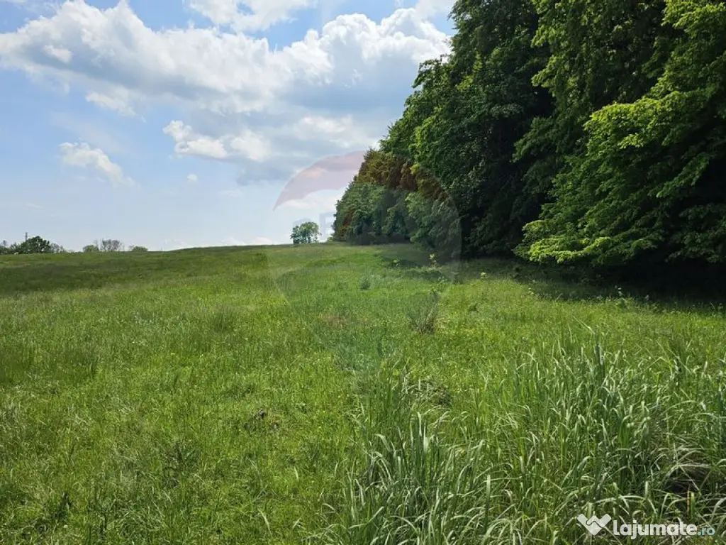 Teren Ilisesti 7000mp extravilan/ DN 17, Suceava 