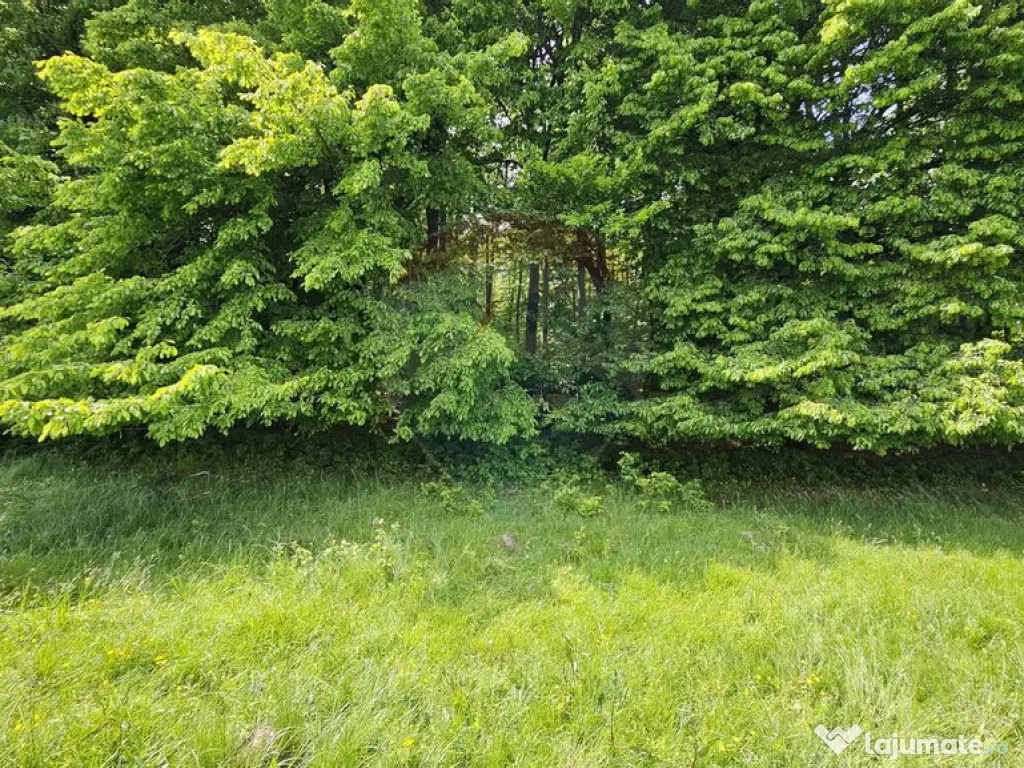 Teren Ilisesti 7000mp extravilan/ DN 17, Suceava 