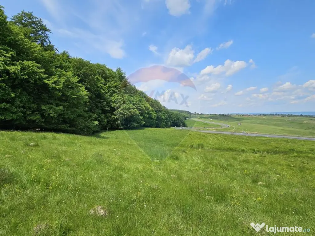 Teren Ilisesti 7000mp extravilan/ DN 17, Suceava 