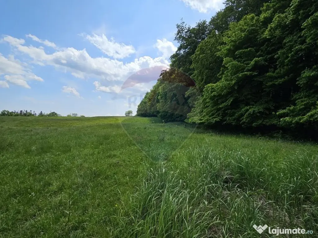 Teren Ilisesti 7000mp extravilan/ DN 17, Suceava 