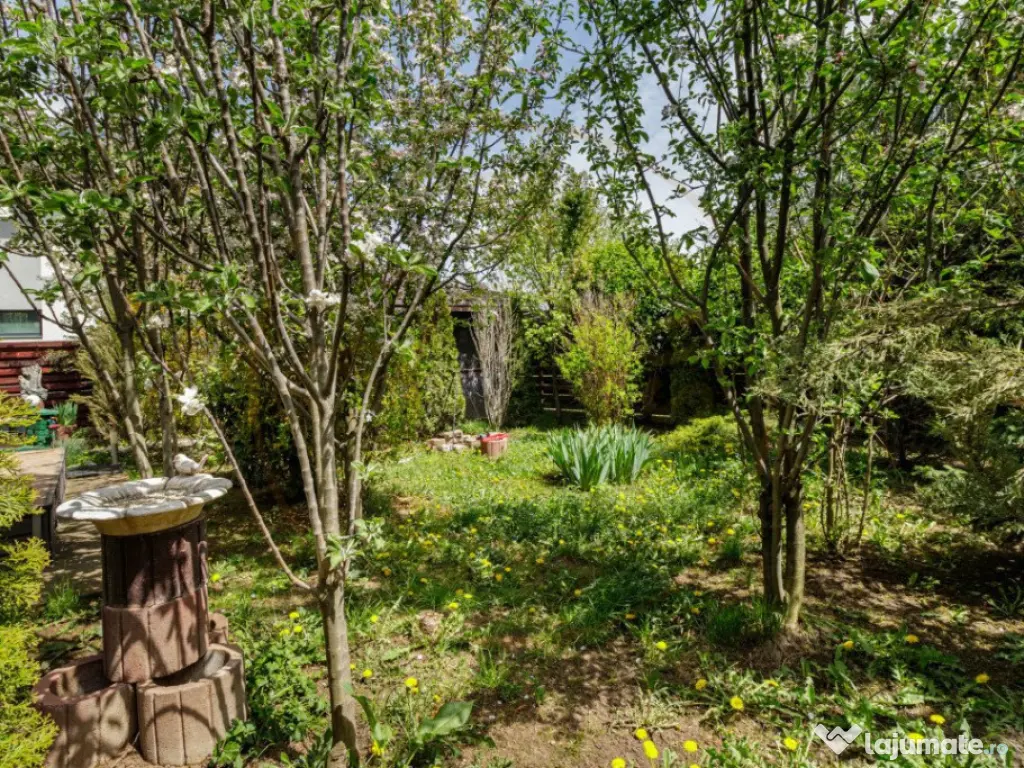 Vila spațioasă și elegantă, aproape de pădure – Tunar 