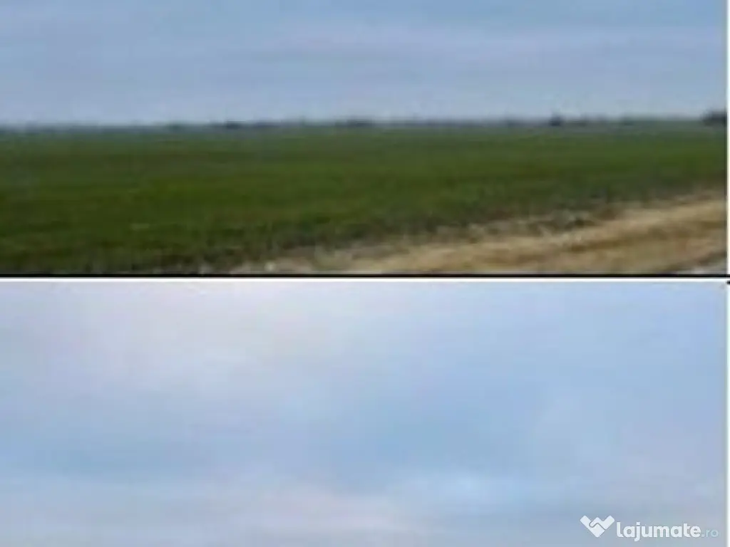 Teren Extravilan Cerna, cota parte 1/5 ID: R2581973 