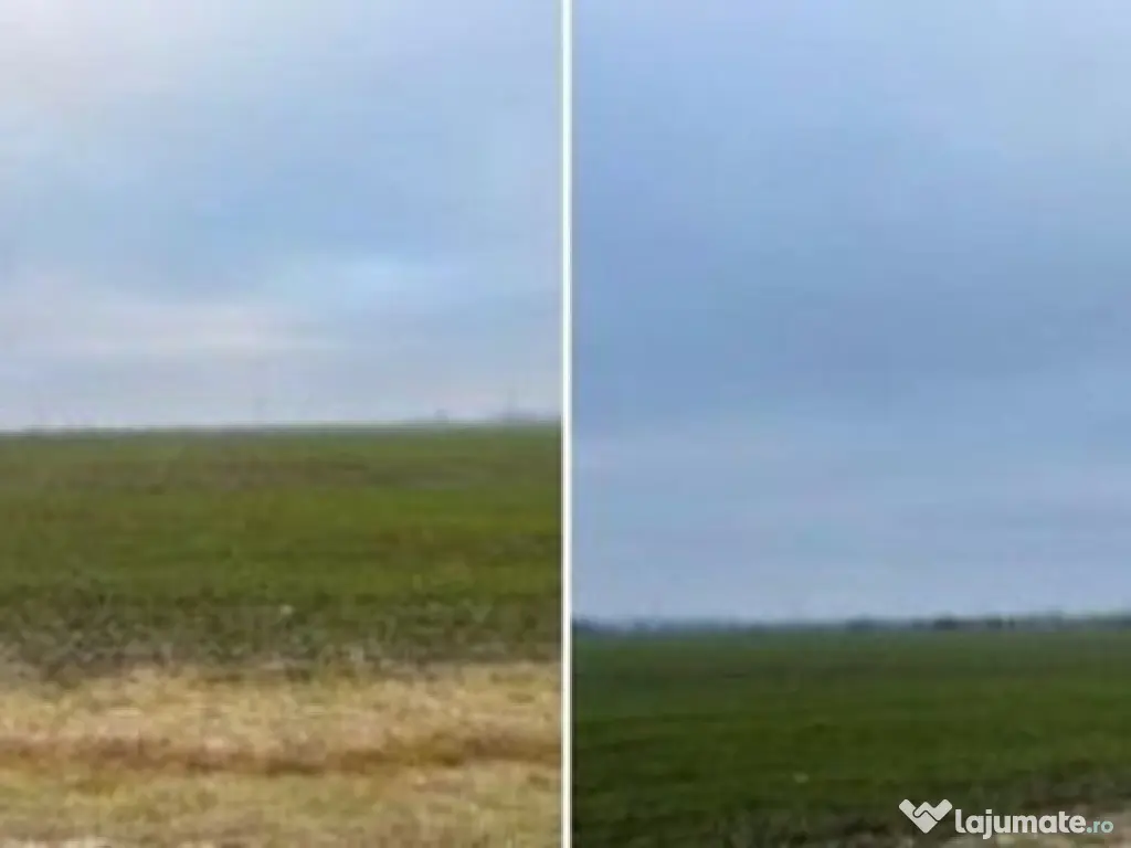 Teren Extravilan Cerna, cota parte 1/5 ID: R2581973 