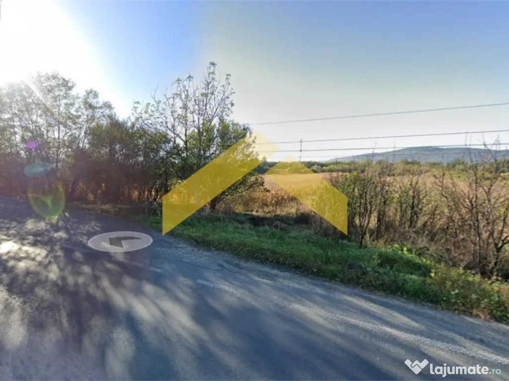 Teren 4000 mp intravilan de localitatea Barzava